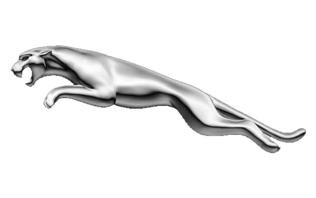Jaguar badge